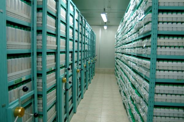 Cold chains are dependent on industry but governments need to see them as crucial for a resilient society and meeting climate and sustainable development goals, says Prof. Toby Peters. Image credit - ICARDA, licensed under CC BY-NC-ND 2.0